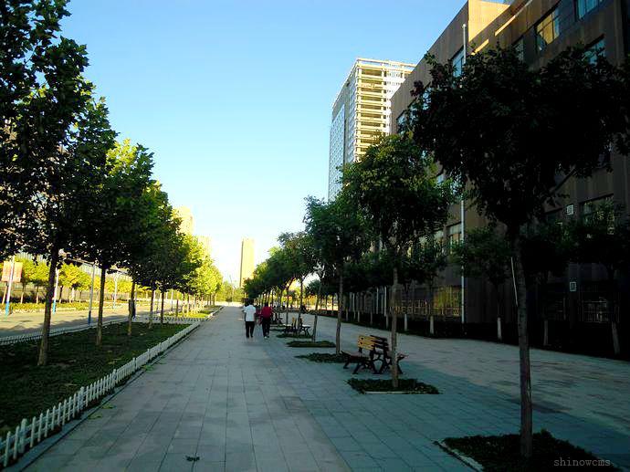 路边一景
